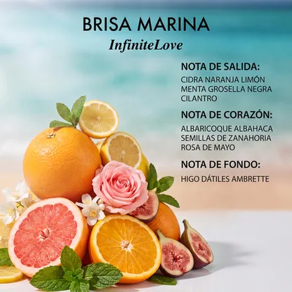 Notas Olfativas Brisa Marina