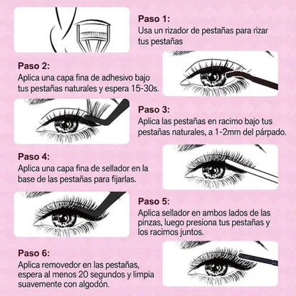 6 Pasos de Aplicación
