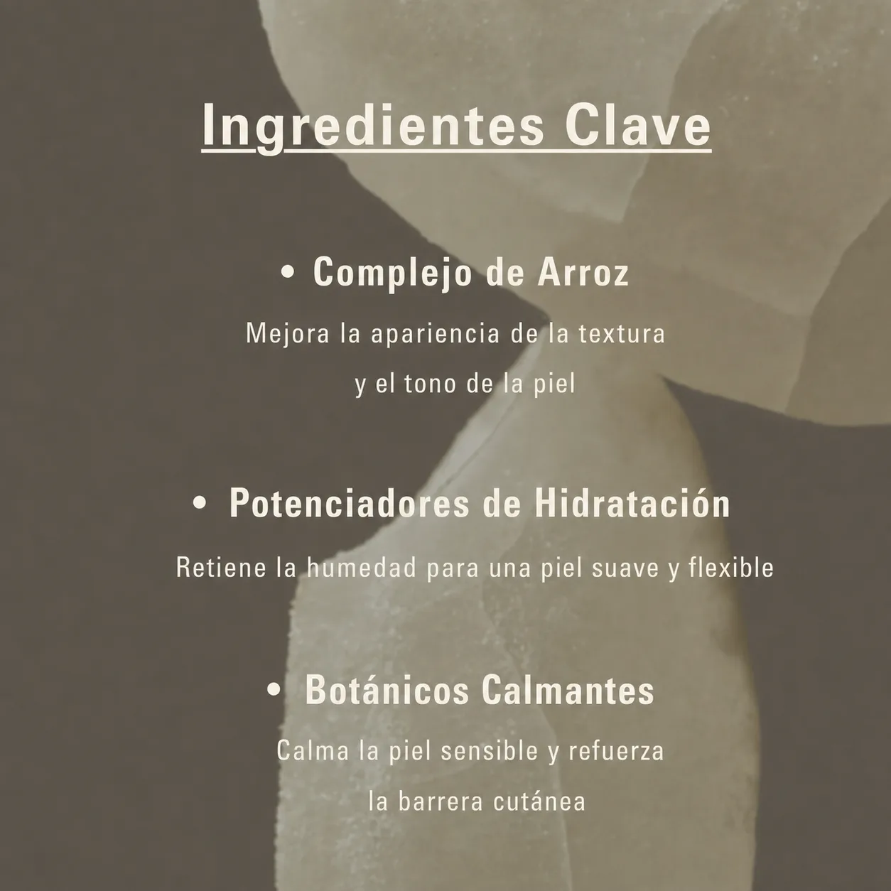 Mascarilla de Arroz Coreana – Rice Jam Mask 250 ml