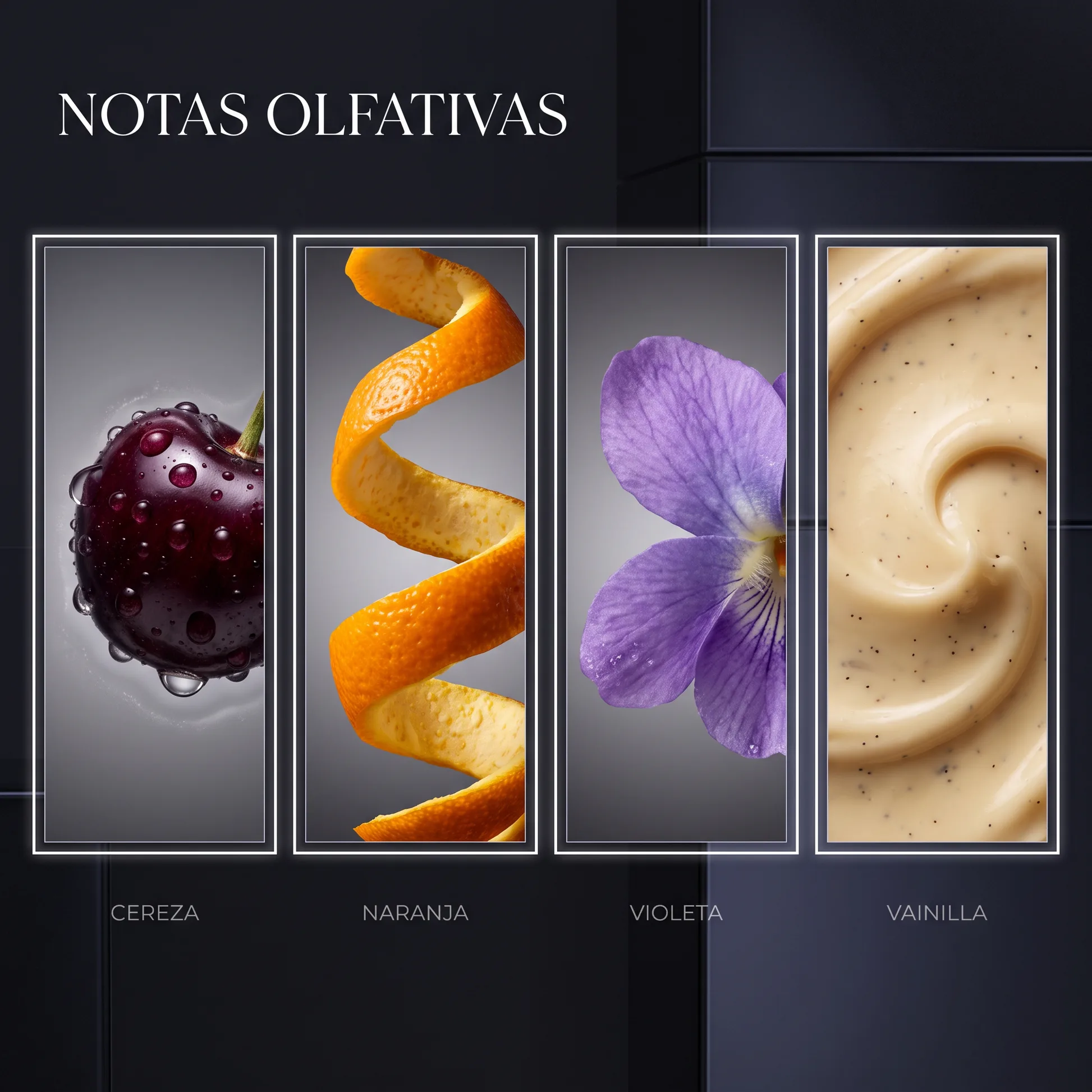 Notas Olfativas