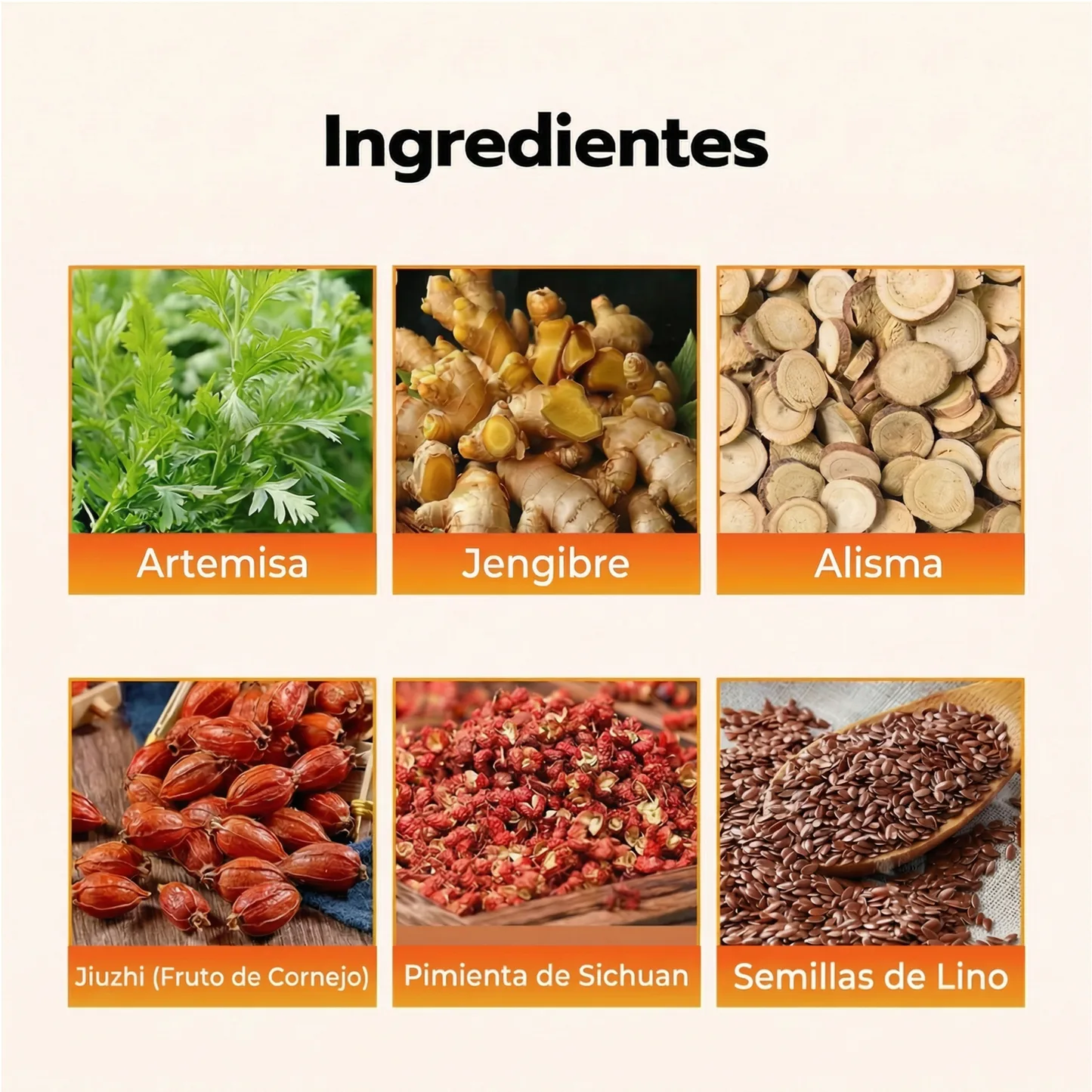 Parche Japonés Herbal Adelgazante