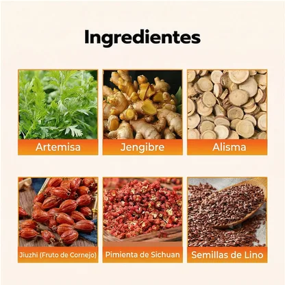 Parche Japonés Herbal Adelgazante