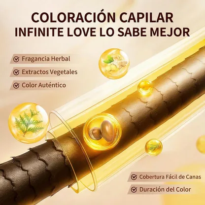Champú Tinte 3 en 1 'AKOIIN' con Extractos Botánicos para Cubrir 100% las Canas